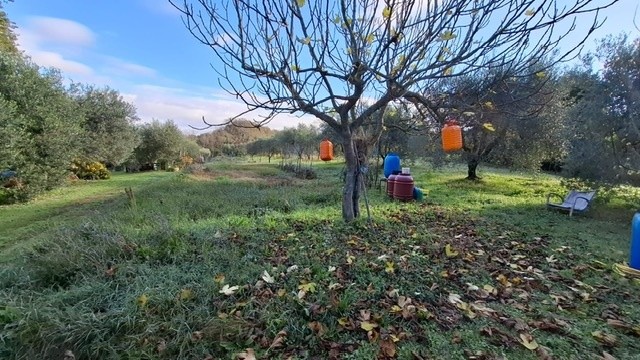 premi per visualizzare la scheda