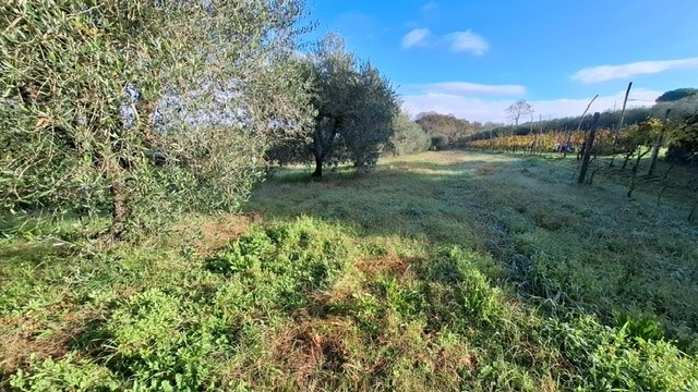 premi per visualizzare la scheda