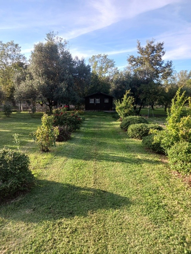 premi per visualizzare la scheda